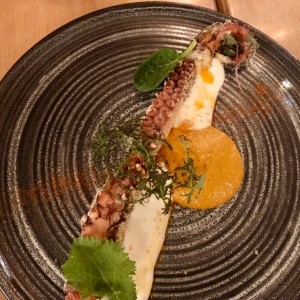 Pulpo