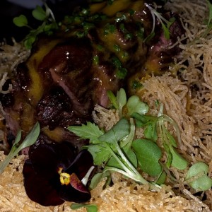 steak salvaje 
