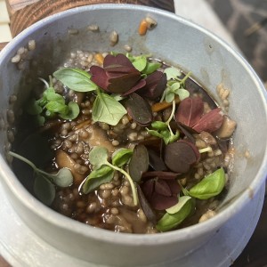 Risoto slvj