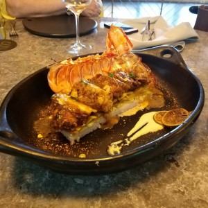 Langosta
