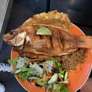 Mojarra