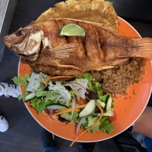 Mojarra