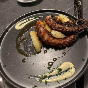 Pulpo
