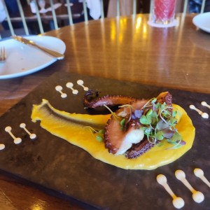 pulpo