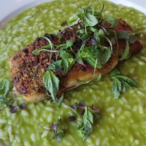 corvina con pistaccho