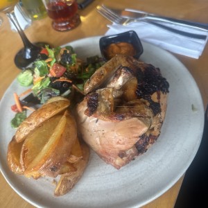 Pollo