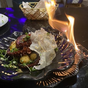 Pulpo