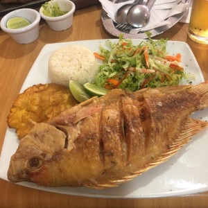 maojarra