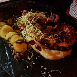 Pulpo Cristobal