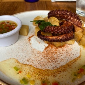 pulpo