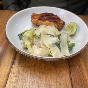 Salmon 