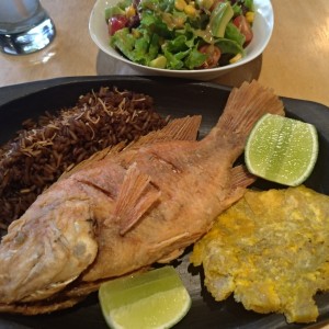 ejecutivo de mojarra