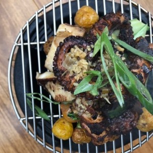 Pulpo 