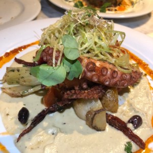 Pulpo