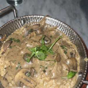 Risotto Funghi e Tartufo