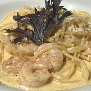 Shrimp alfredo