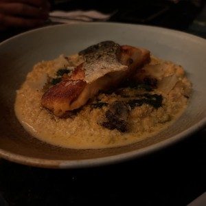 Salmon