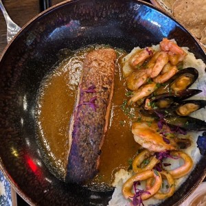 Salmon