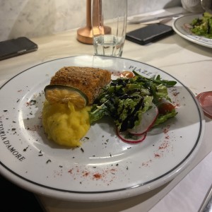 Salmon