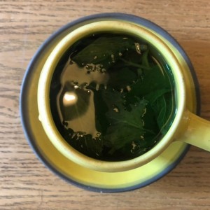 Infusión 