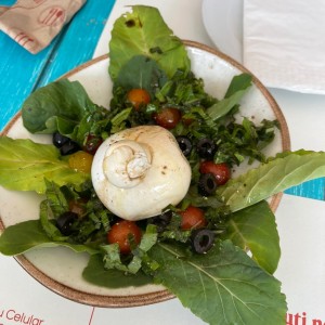 Burrata