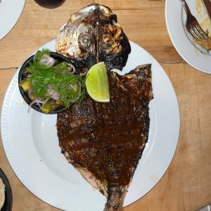 Pesca completa