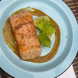 Salmon 