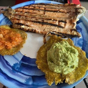 Trucha parrilla