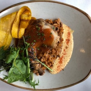 Pollo