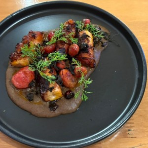 Pulpo