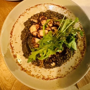 Pulpo