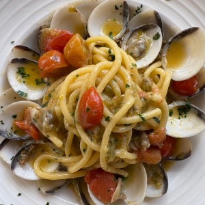 Pasta