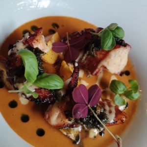 Pulpo