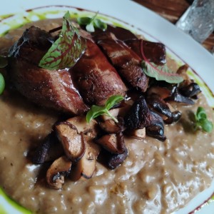 Tenderloin