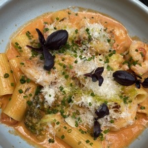 Rigatoni rose