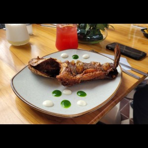 Mojarra