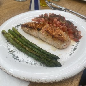Salmon 