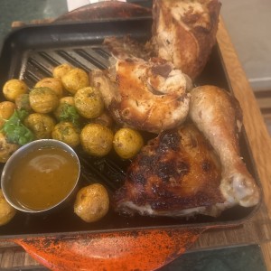 Pollo