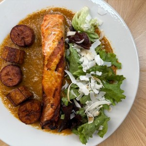 Salmon