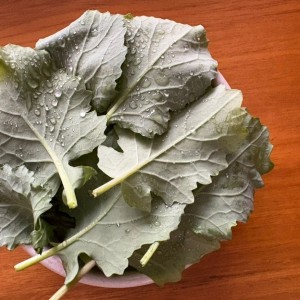 Ensalada