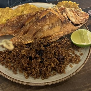 Mojarra