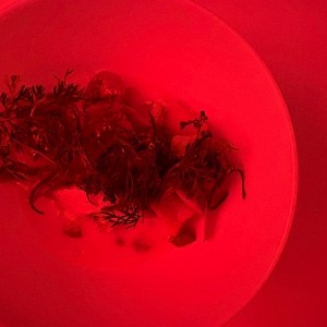 Ceviche de vegetales 