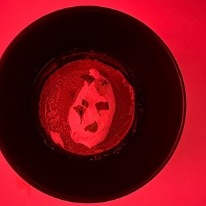 Flan de coca