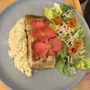 Salmon al orso