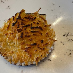 Concha parmesana