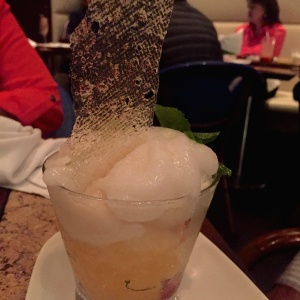 Copon de guanabana