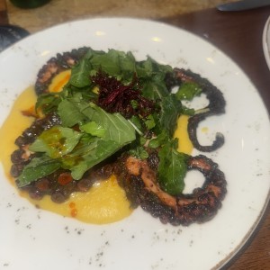 Pulpo