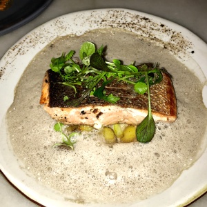 Salmon