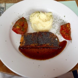 Salmon