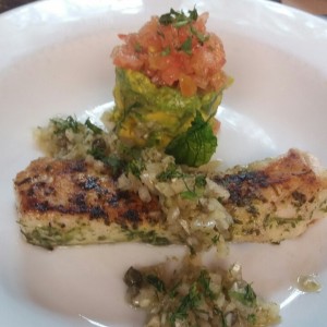 Corvina latina.